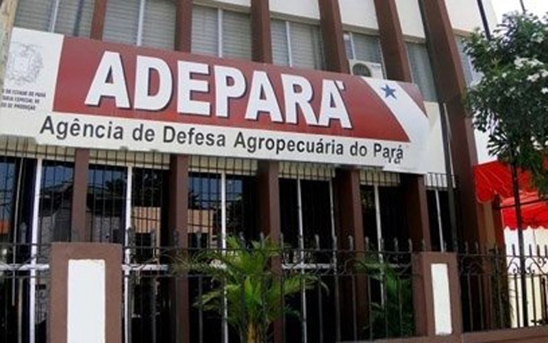 destaque-342014-adepara