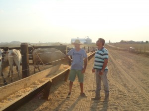 Ricardo Denadai e João PIran