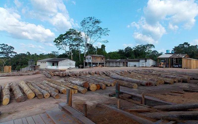 destaque-342582-foto2