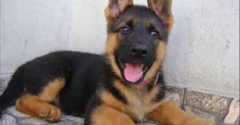 destaque-345164-hqdefault