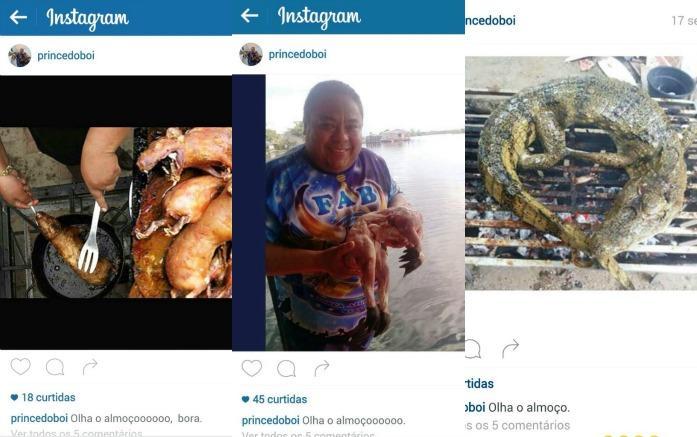 Postagens renderam multa a Prince do Boi. Foto: Reprodução