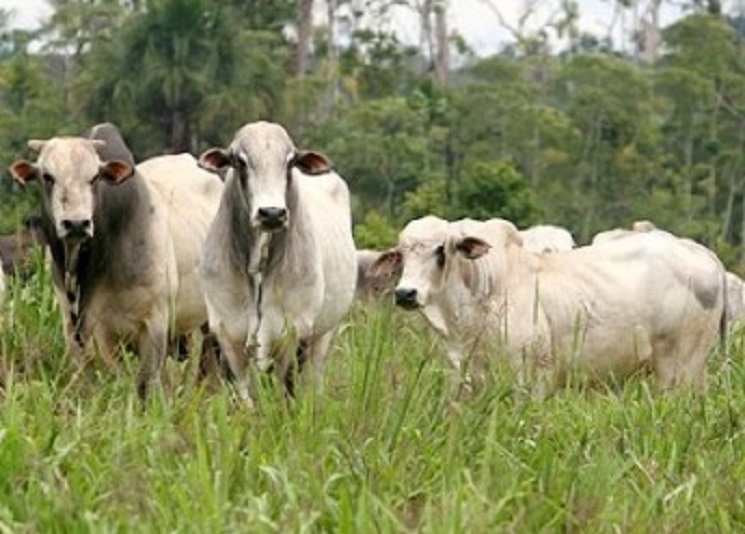 70bc5374d24c827225d9493832f99563