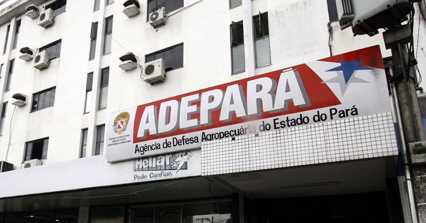 destaque-351547-adepara12