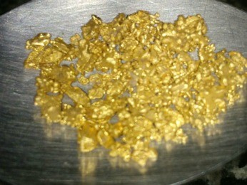 Pepitas de ouro foram pegas em garimpo
(Foto: Júlio Cezar Ferreira de Souza/ Arquivo pessoal)