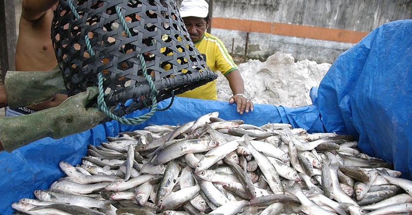 destaque-353648-agron