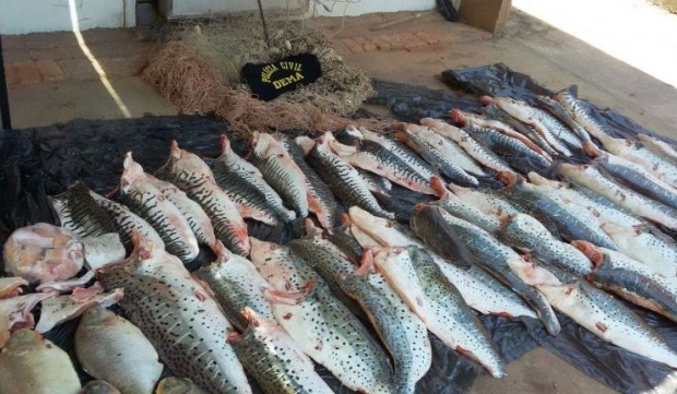 noticia_5661c41744a38