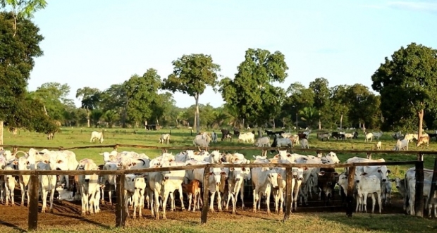 noticia_5661e36db6c9d