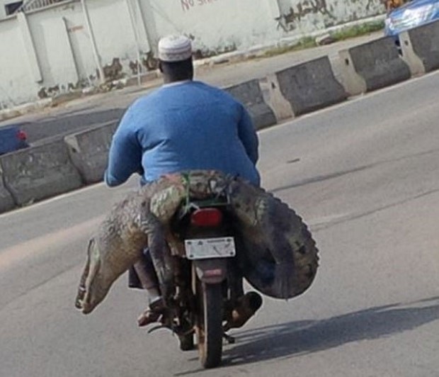 Cena foi flagrada em rua no estado de Ogun (Foto: Reprodução/Facebook)