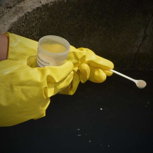 denguezikacarlacletoagenciaalagoas-600x600