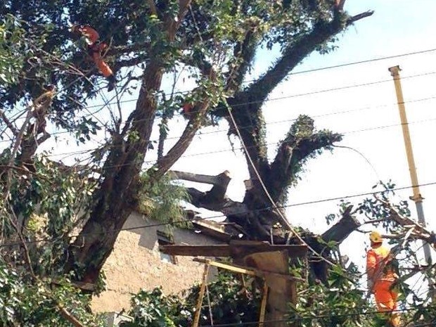 12666373_10201395123077008_860954880_n