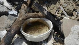 995681-denguedsc_9199