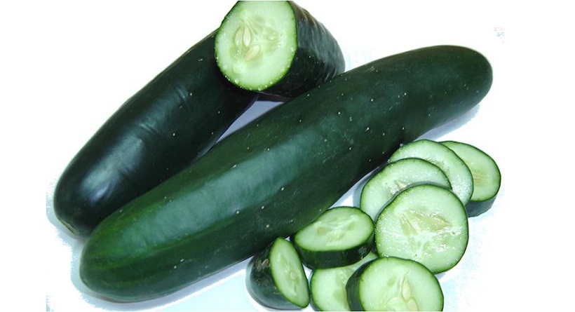 destaque-360236-pepinos