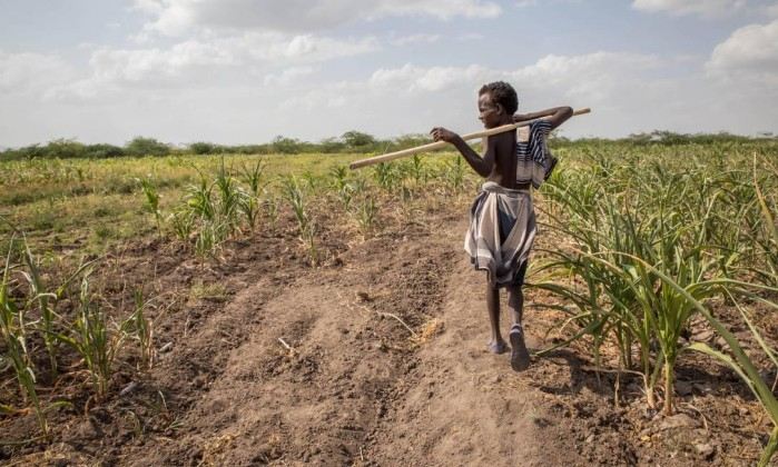 Foto: Mulugeta Ayene / APFoto: Mulugeta Ayene / AP