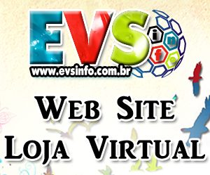 evs01
