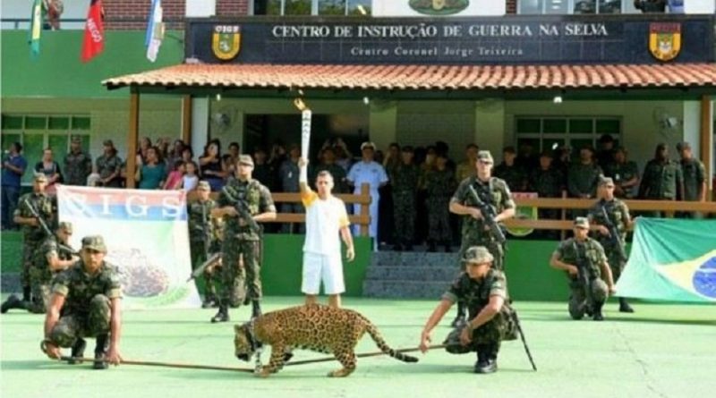 Foto: Divulgação/Cigs - Valdo Leão