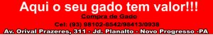 FrigorificoNovoProgresso1