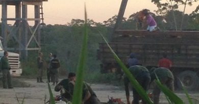 Madeira destruída por fiscais ambientais com motor serra