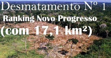 desmatamento-amazonia