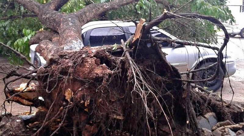 destaque-372128-vendaval-de-74-5-km-h-castiga-macapa