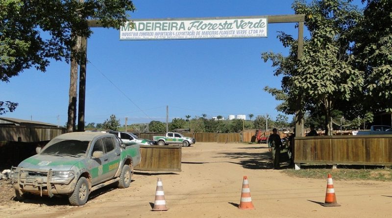 Floresta Verde