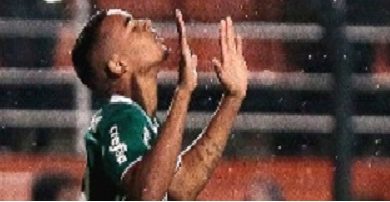 gabriel-jesus-comemora-gol-do-palmeiras-1464918820712_300x100