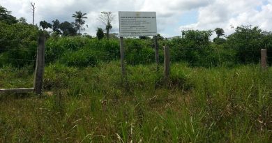 imagens de lote citados na decisão judicial.