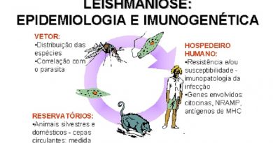 leishmaniose