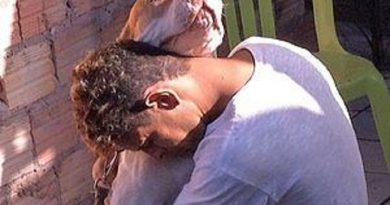 Pitbul com pai da crinaça