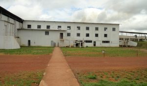 Frigorífico Novo Progresso