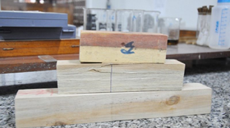 De-cima-para-baixo-acariquarana-breu-e-urucu-da-mata