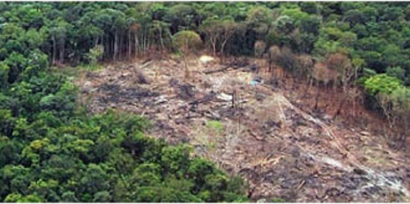 Operação-Rios-Voadores-combate-grilagem-de-terras