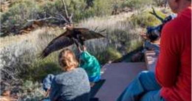 Águia teria levantado menino do chão, segundo relatos
Foto: Christine O'Connell/Instagram: 55chris / BBCBrasil.com
