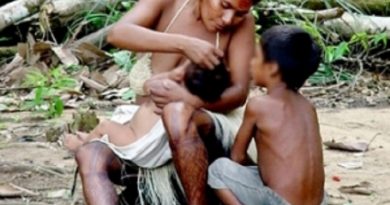 destaque-375466-maes