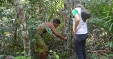 Casca-de-uma-planta-é-extraída-na-floresta-Amazônica