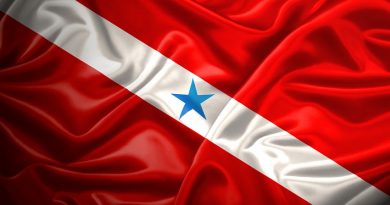 bandeira do pará