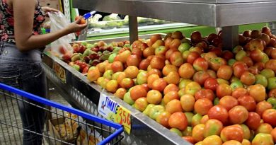 destaque-376277-cesta