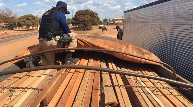 destaque-376836-madeira-10-agosto