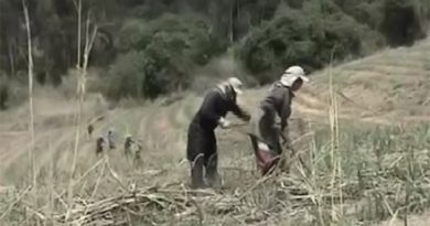 destaque-377351-160816-a7-foto-enviada-por-email-frame