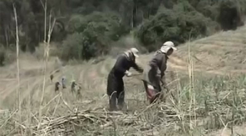 destaque-377351-160816-a7-foto-enviada-por-email-frame