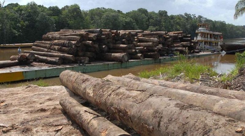 destaque-377625-madeira111