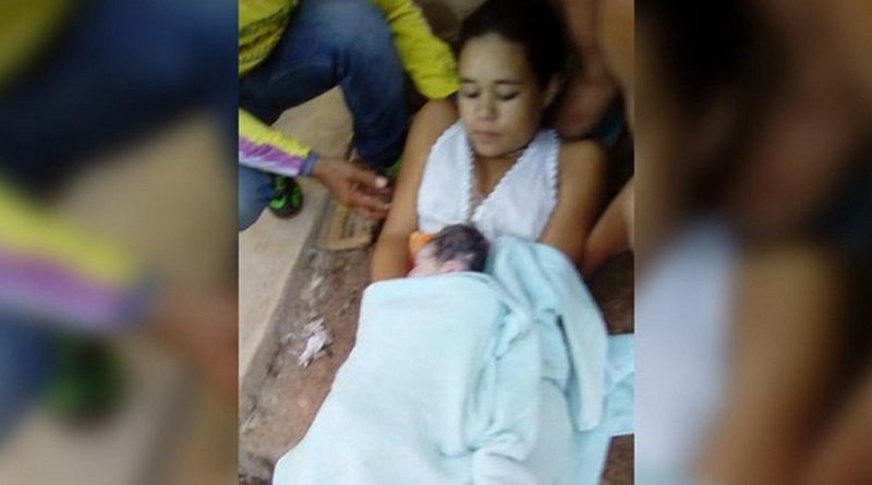 destaque-378381-gravida