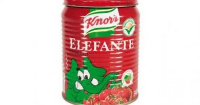 elefante