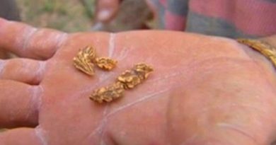 garimpo10_620x465_tvca