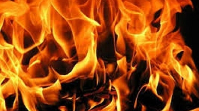 phpThumb_generated_thumbnail