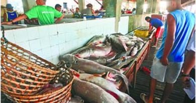 Espécies-de-pescado-ameaçadas-são-fiscalizadas