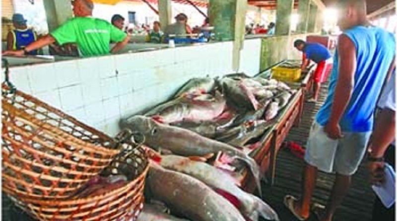 Espécies-de-pescado-ameaçadas-são-fiscalizadas