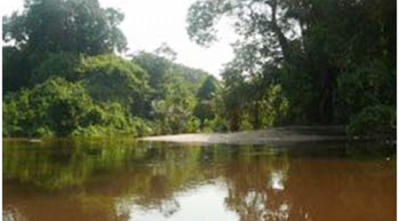 floresta-nacion-al-do-crepuri-no-para