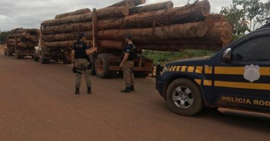 caminhao-madeira-inlegal