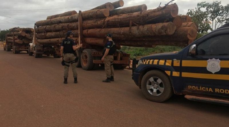 caminhao-madeira-inlegal