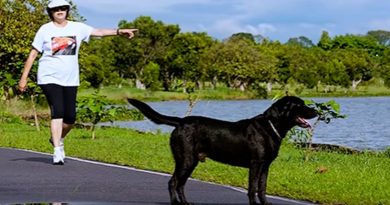 destaque-379857-nego-dilma